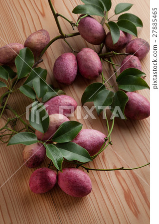 Ikuko Ikuko 27885465