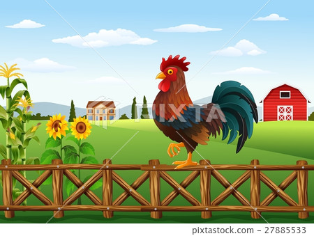 Cute cartoon rooster standing in the farm fence