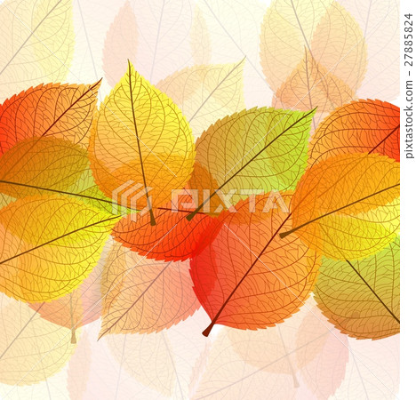 Background with stylized autumn leaves 27885824