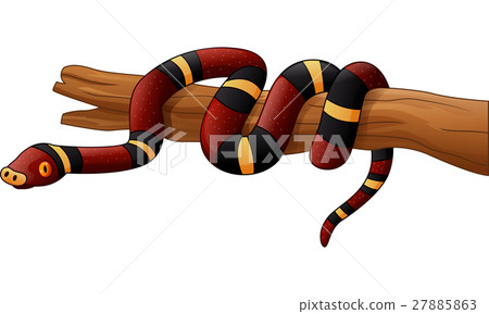 Cartoon snake on branch 27885863
