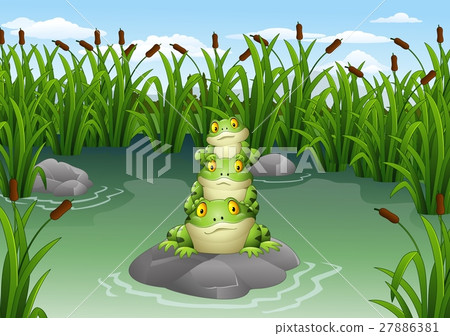 Cartoon frog stacked in the pond 27886381