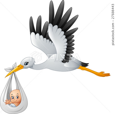 Cartoon stork carrying baby Cartoon stork carrying baby 27886443