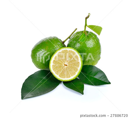 Citrus medica Linn on white background Citrus medica Linn on white background 27886720