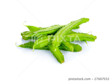 Winged Beans on white background 27887032