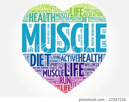 Muscle heart word cloud Muscle heart word cloud 27887256