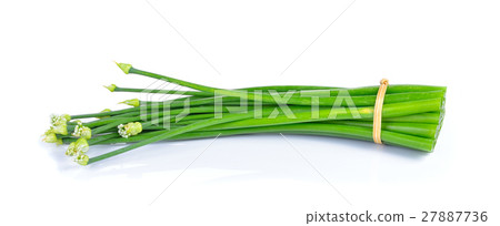 Onion flower on white background Onion flower on white background 27887736