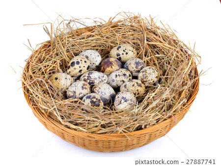 Quail eggs in a straw nest on white background Quail eggs in a straw nest on white background 27887741