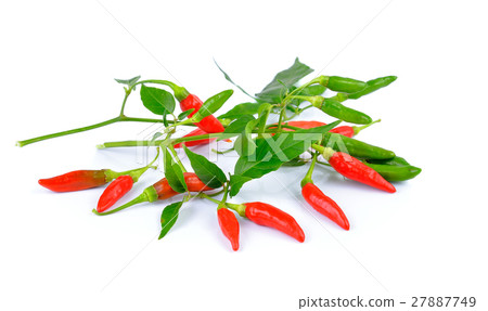 Red hot chili peppers on white background 27887749
