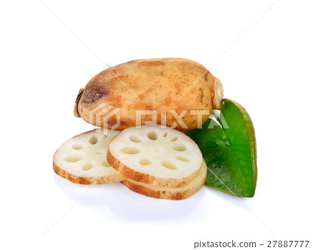 Lotus root on the white background 27887777
