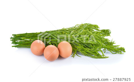 Climbing Wattle, Acacia, Cha-om with eggs 27887925