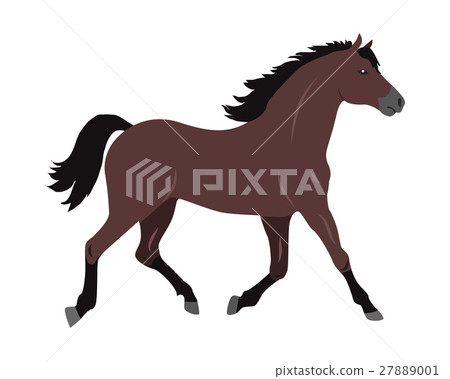Horse Vector Illustration in Flat Design Horse Vector Illustration in Flat Design 27889001
