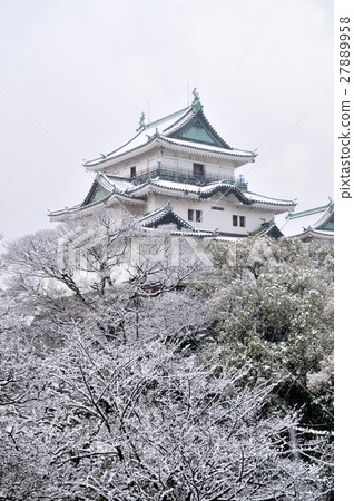Wakayama castle with snowy scenery 27889958