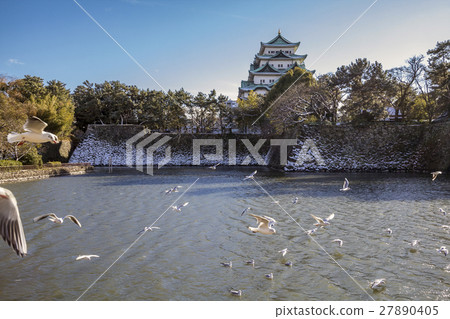 Nagoya Castle Yurikome 27890405