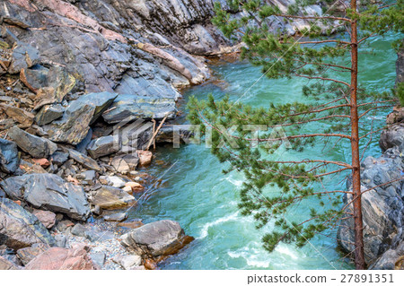 Landscape with mountain river and forest 27891351