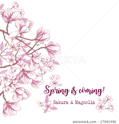 Spring Sakura and Magnolia Background 27892490