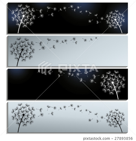 Set of horizontal black grey banner with dandelion Set of horizontal black grey banner with dandelion 27893856
