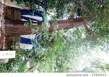 安井靖國神社 27894413