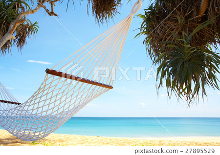 hammock hammock 27895529