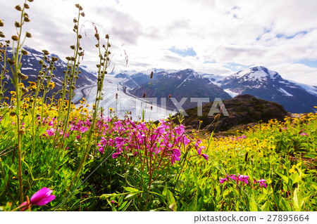 Salmon glacier Salmon glacier 27895664