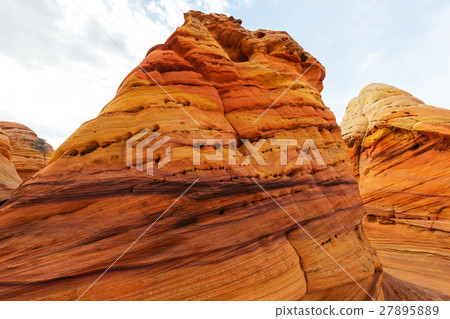 South coyote South coyote 27895889