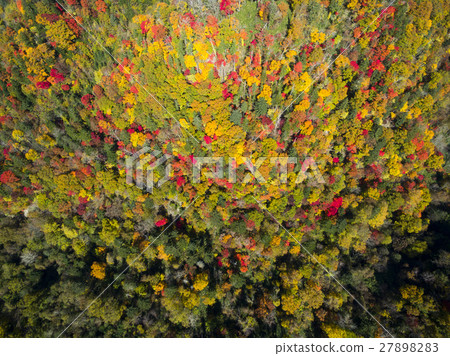 Eniwa Valley in the fall (Aerial photographing overhead view) 27898283