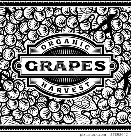 Retro Grapes Harvest Label Black And White Retro Grapes Harvest Label Black And White 27898642