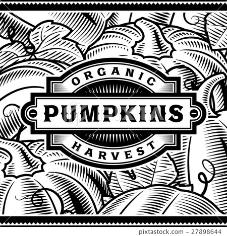 Retro Pumpkin Harvest Label Black And White Retro Pumpkin Harvest Label Black And White 27898644