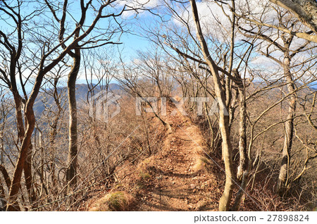 深秋榛名山“索馬山”山路 深秋榛名山“索馬山”山路 27898824