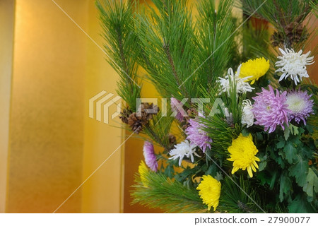 Flower arrangement of chrysanthemum in golden screen Flower arrangement of chrysanthemum in golden screen 27900077
