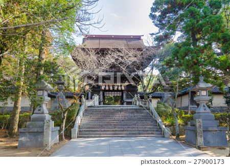 Kashii Miyamon Kashii Miyamon 27900173