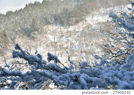 雪山和陽光照射下的雪山坡的影子 27900292