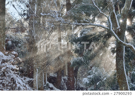 雪花跳舞的光 27900293