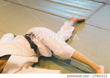 合氣道 武術 人 27902222