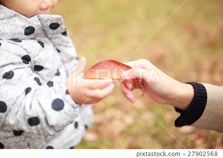 Baby (autumn leaves autumn leaves fallen leaves blight leaves dead leaves casual family Family Momiji) Baby (autumn leaves autumn leaves fallen leaves blight leaves dead leaves casual family Family Momiji) 27902568