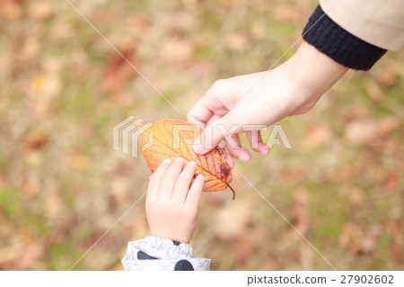 寶貝（秋天的樹葉秋天落葉落葉死葉休閒家庭沒有臉背後） 27902602