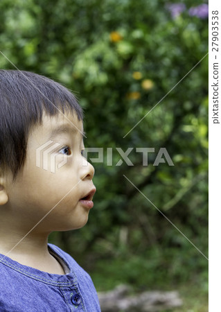 尋找桔子的男孩 尋找桔子的男孩 27903538