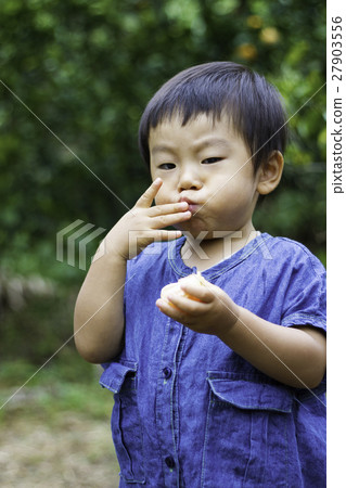 A boy hunting an oranges 27903556