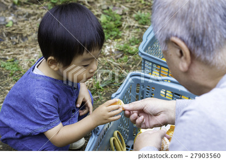 尋找桔子的男孩 27903560