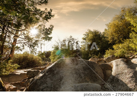 landscape landscape 27904667