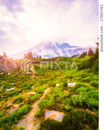 sunset at mt Rainier,WAshington,usa. 27905461
