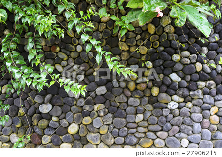 Texture of old stone wall covered green moss in Texture of old stone wall covered green moss in 27906215