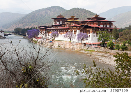 Punakha monastery 27907599