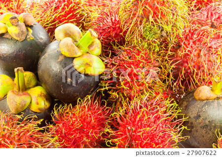 Rambutan and mangosteen Rambutan and mangosteen 27907622