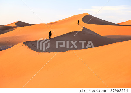 Sahara desert 27908314