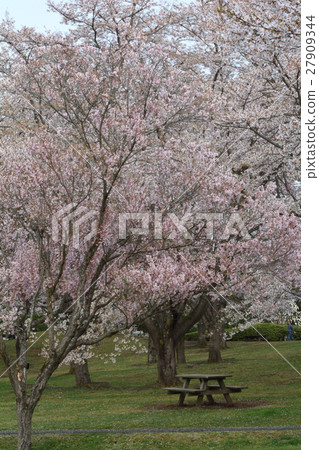 Miyagi · Michinoku Forest lakeside park 27909344