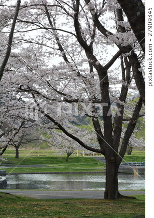 Miyagi · Michinoku Forest lakeside park 27909345