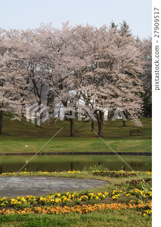 Miyagi · Michinoku Forest lakeside park 27909517