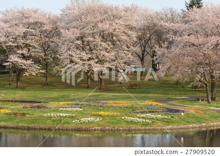 Miyagi · Michinoku Forest lakeside park 27909520