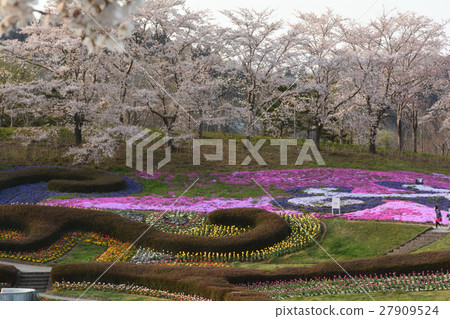 Miyagi · Michinoku Forest lakeside park 27909524