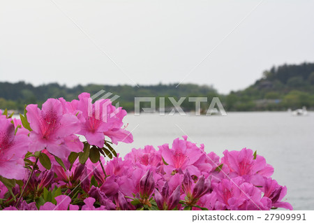 Mito / Senba Lake Mito / Senba Lake 27909991